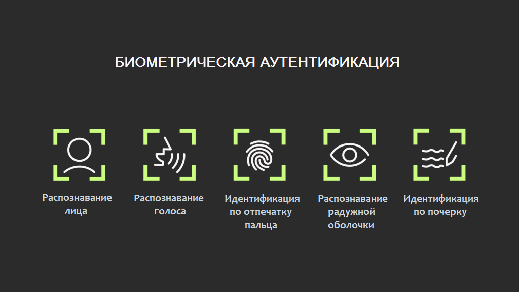 Биометрическая аутентификация Биометрическая аутентификация
